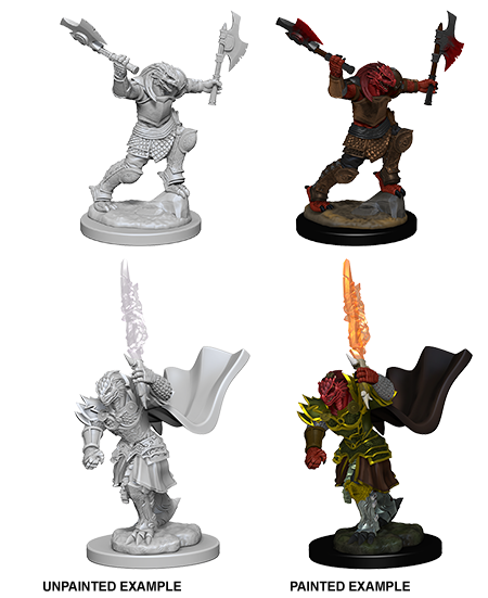 WZK 73199 - Dragonborn Fighter