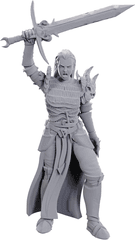 WZK 90772 - Dungeons & Dragons: Nolzur's Marvelous Unpainted Miniatures - W25 Blackguard