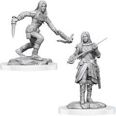 WZK 90485 - Half-Elf Rogue Female