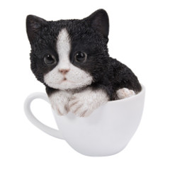 11758 Teacup Kitten