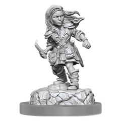 WZK90403 Halfling Rogue Female