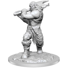 WZK 90426 - D&D Nolzur's Marvelous Unpainted Minis: W16 Ogre