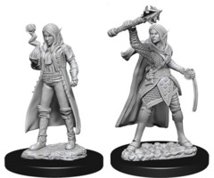 WZK 73835 - Female Elf Cleric (2)