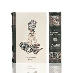 BK-66 Mermaid Book Box Small