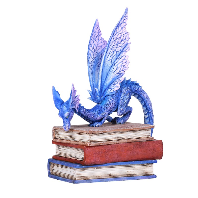 Book Dragon 12627