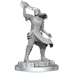 WZK90409 Aasimar Cleric Female