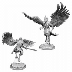 WZK 90521 - Aarakocra Paladins