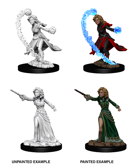 WZK 73412 - Female Human Wizard