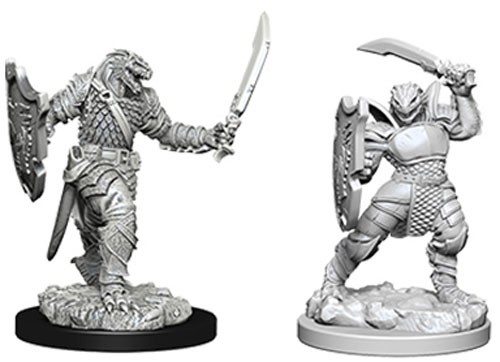 WZK 73341 - Dragonborn Paladin