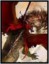 50 ct Crimson Rider Card Sleeves