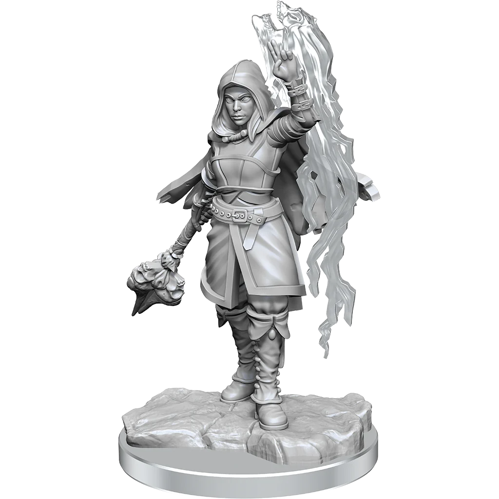 WZK90410 Half-Elf Warlock