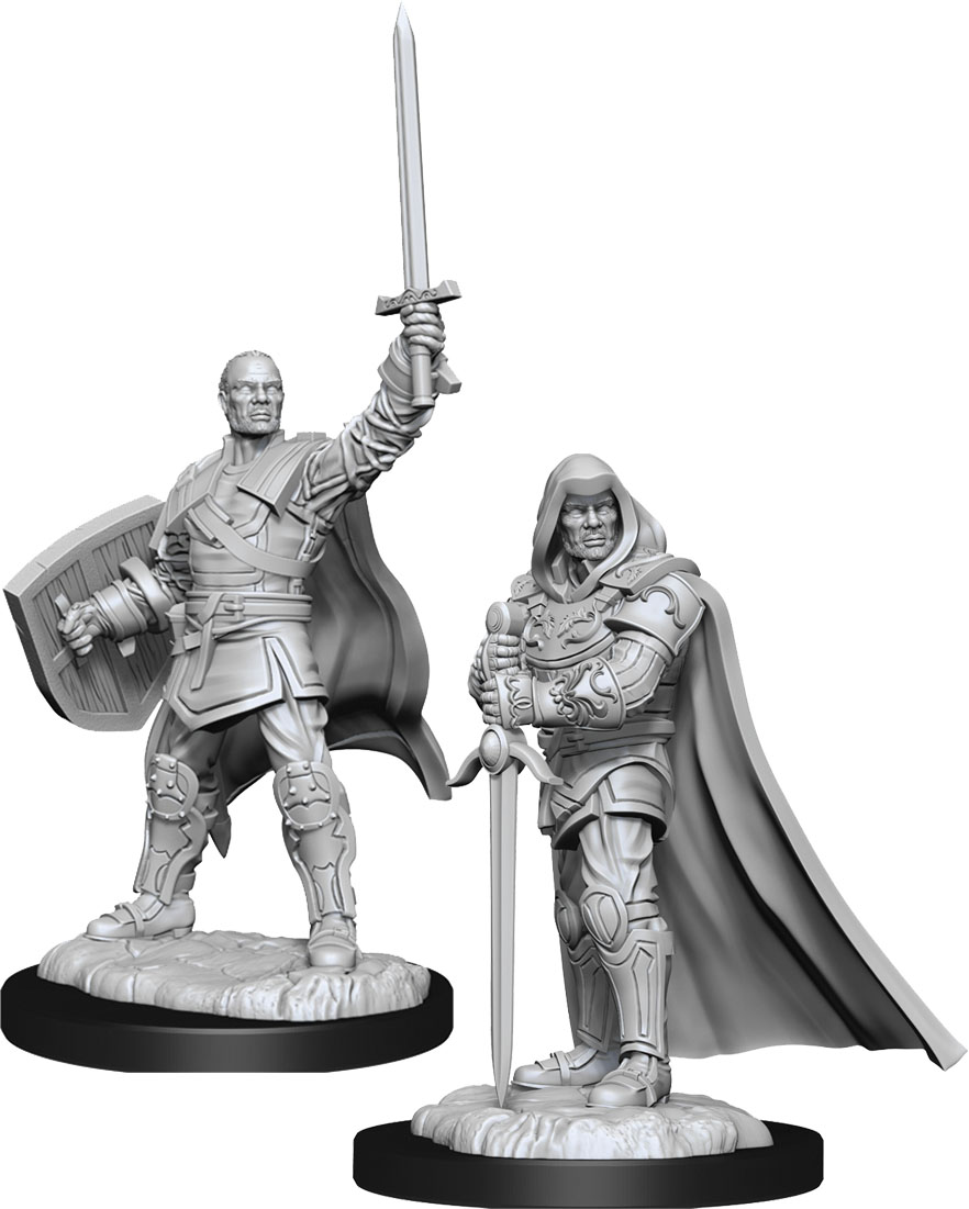 WZK 90136 - Human Paladin