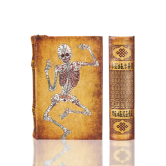 BK-89 Tibetan Medicine