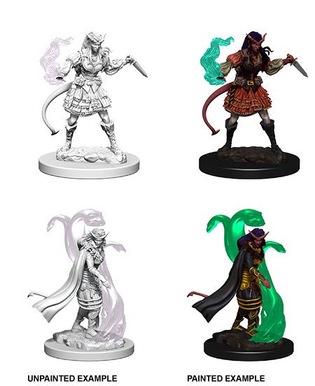 WZK 73202 - Tiefling Sorcerer