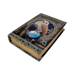 10385 Spell Keeper Book Box