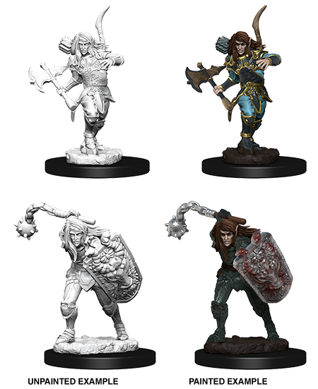 WZK 73409 - Male Elf Fighter