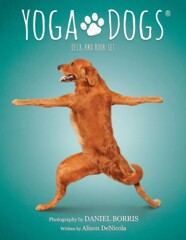 Yoga Dogs