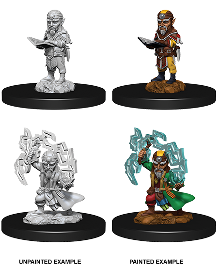 WZK 73722 - Male Gnome Sorcerer