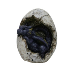 10109 Dragon Hatchling