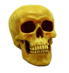 36245 - Grinning Skull