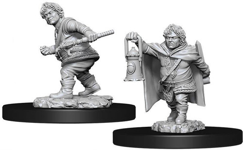 WZK 90006 - Male Halfling Rogue