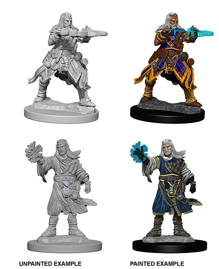 WZK 73411 - Male Human Wizard