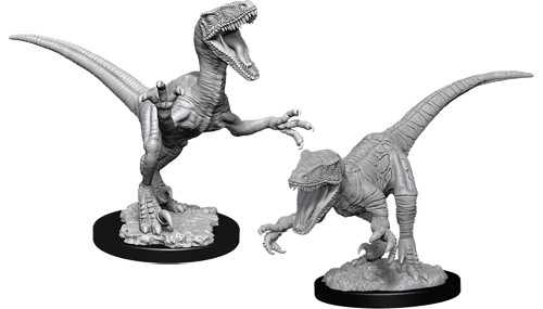 WZK 90047 - Raptors