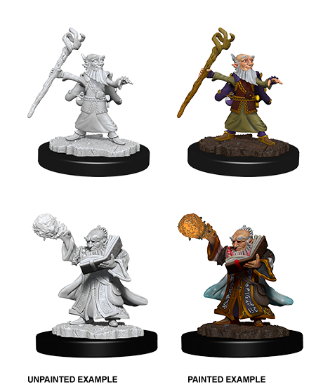 WZK 73382 - Gnome Wizard