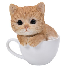 11757 Teacup Kitten