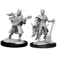 WZK 90226 - Tiefling Bard Female