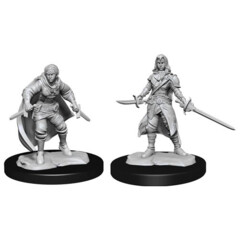 WZK 90228 - Half-Elf Rogue Female