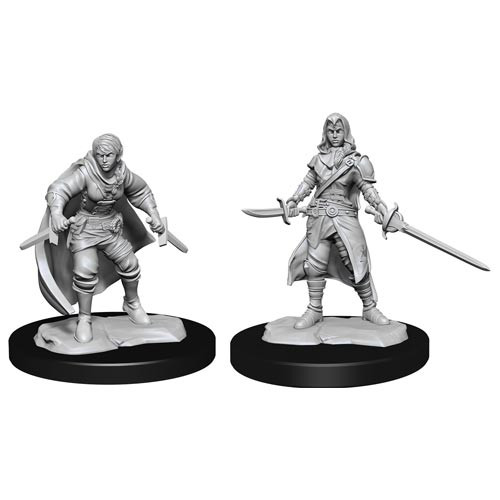 WZK 90228 - Half-Elf Rogue Female