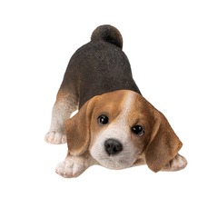 15435 - Beagle Puppy