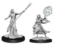 WZK 90054 - Female Elf Sorcerer