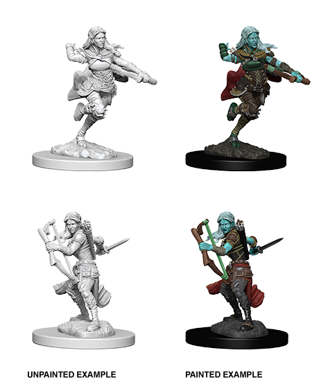 WZK 73204 - Air Genasi Rogue