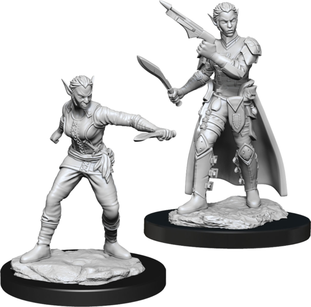 WZK 90148 - Shifter Rogue