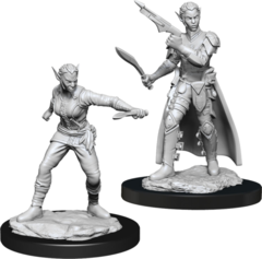 WZK 90148 - Shifter Rogue