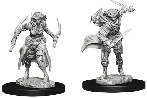 WZK 73339 - Tiefling Rogue