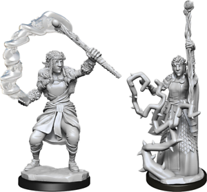 WZK 90146 - Firbolg Druid