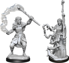 WZK 90146 - Firbolg Druid