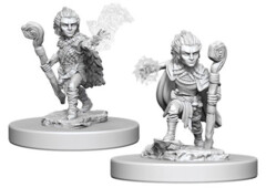 Pathfinder Battles Unpainted Minis - Gnome Male Druid