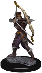 Dungeons & Dragons Icons of the Realms Premium Miniatures: Elf Ranger (Female)