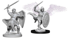 D&D Nolzur's Marvelous Miniatures: Aasimar Male Paladin