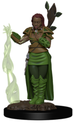 Dungeons & Dragons Icons of the Realms Premium Miniatures: Human Druid (Female)