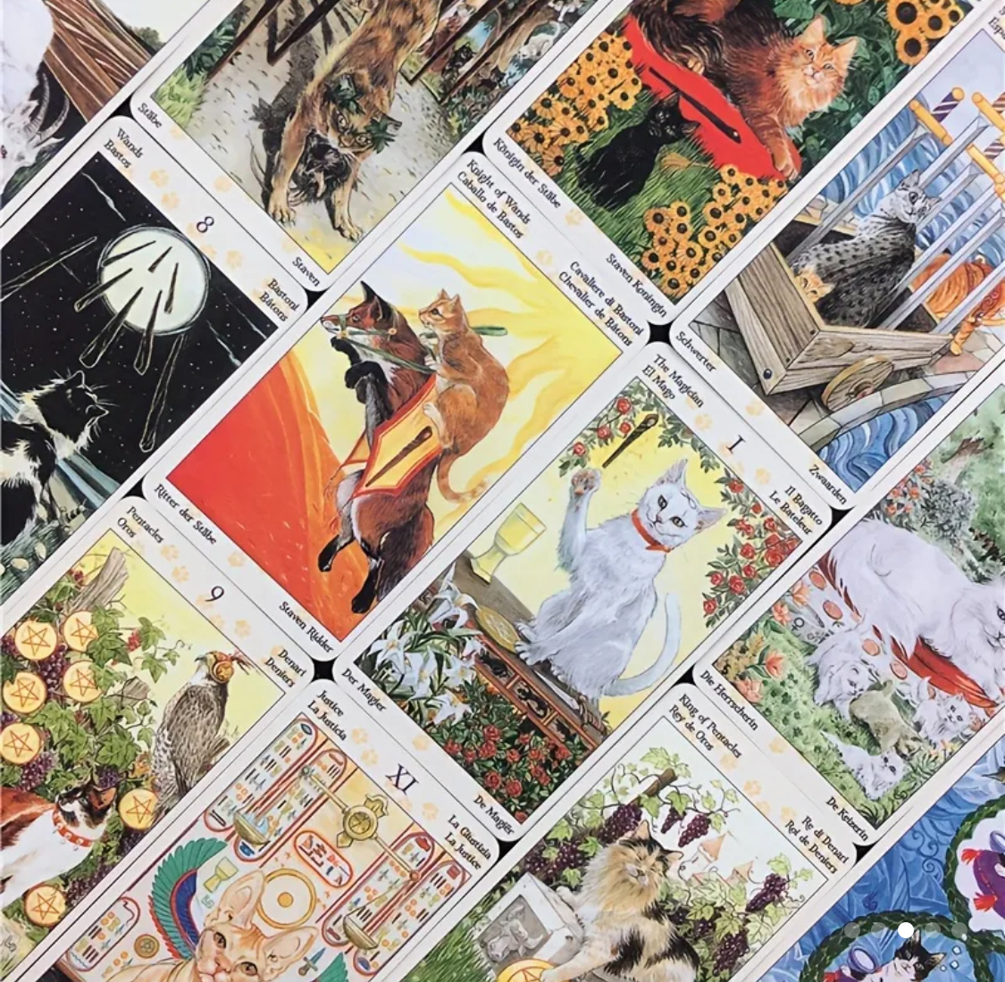 Cats, Tarot of Pagan Cats