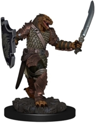 Dungeons & Dragons Icons of the Realms Premium Miniatures:  Dragonborn Paladin( Female)