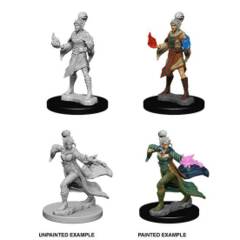 Pathfinder Battles Unpainted Minis - Elf Female Sorcerer 72606