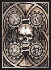 Poker Face Skull Portfolio Card Album