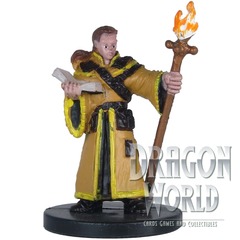 male human wizard