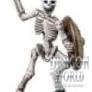 warrior skeleton